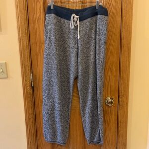 Aerie Women's Blue Heathered Joggers
